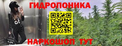 мяу мяу кристалл Ковров